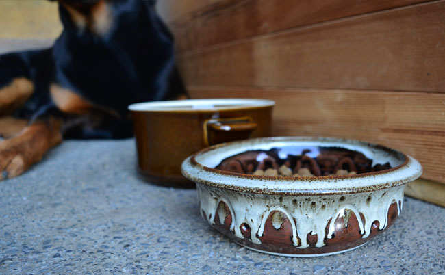 UPCYCLE | DIY Dog Bowl From Old Pottery Dishes