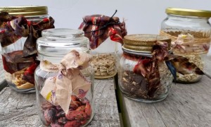 DIY Gift | Bottle of Seeds