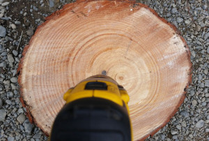 DIY Project_Driftwood Christmas Tree