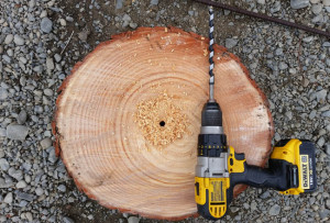 DIY Project_Driftwood Christmas Tree