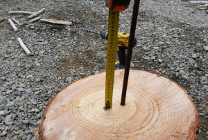 DIY Project_Driftwood Christmas Tree