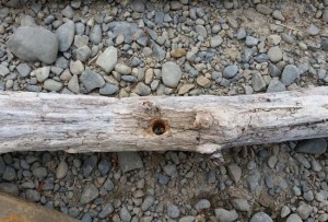 DIY Project_Driftwood Christmas Tree