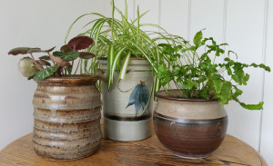 Upcycled Ceramic Jars to Plant Pots