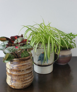 Upcycled Ceramic Jars to Plant Pots