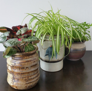 Upcycled Ceramic Jars to Plant Pots