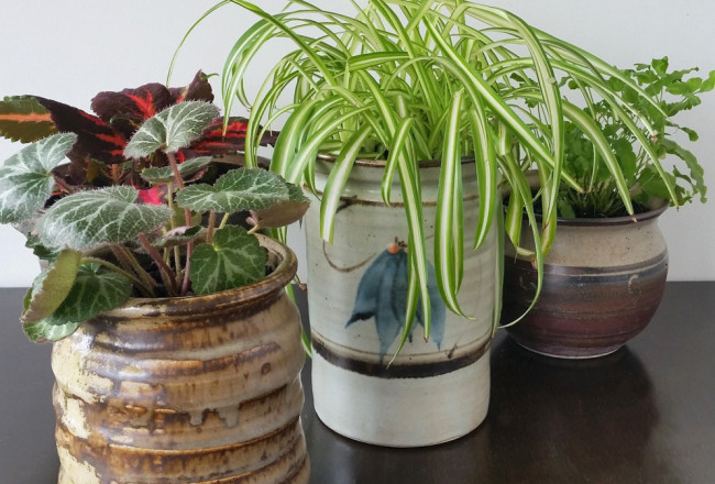 Upcycled Ceramic Jars to Plant Pots