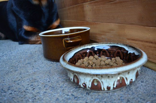 SECONDHAND DIY Pet Bowls From Upcycled Pottery