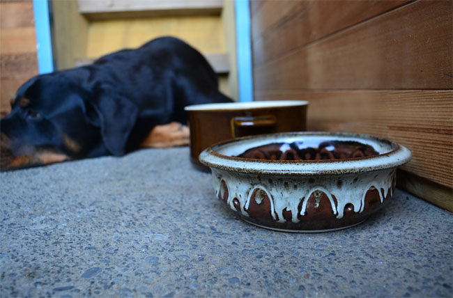 SECONDHAND DIY Pet Bowls From Upcycled Pottery