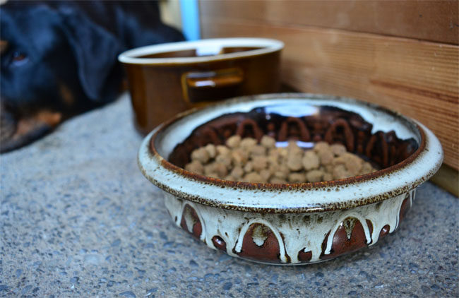 SECONDHAND DIY Pet Bowls From Upcycled Pottery