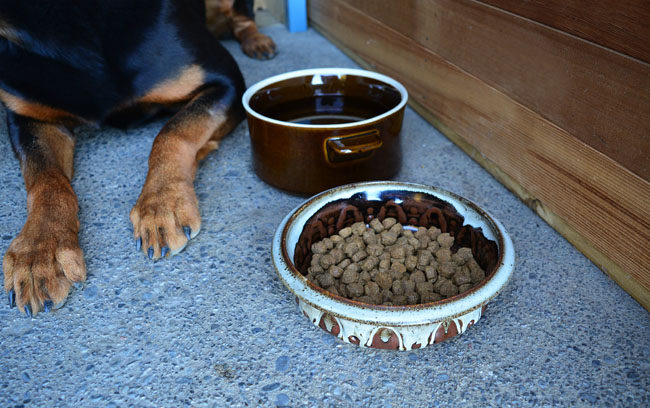 UPCYCLE | DIY Pet Bowls From Old Stoneware Dishes