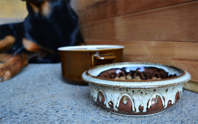 UPCYCLE DIY Pet Bowls From Old Stoneware Dishes