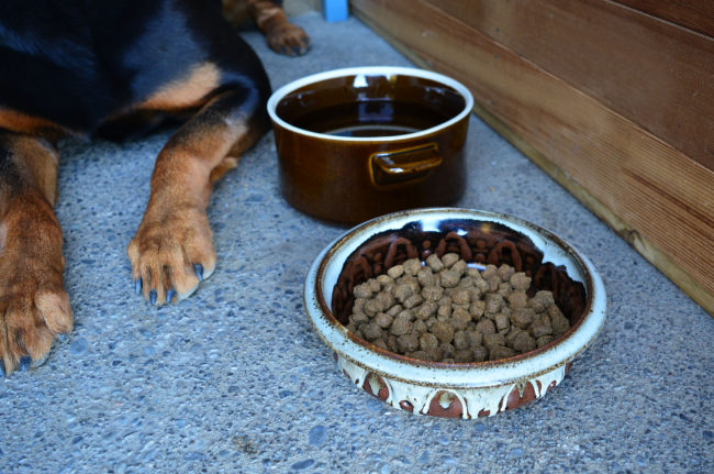 UPCYCLE | DIY Pet Bowls From Old Stoneware Dishes