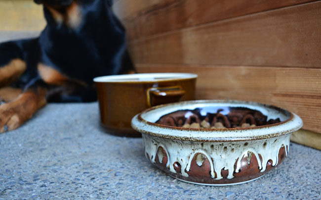 UPCYCLE | DIY Pet Bowls From Old Stoneware Dishes