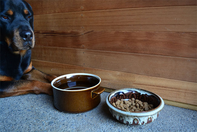 UPCYCLE | DIY Pet Bowls From Old Stoneware Dishes