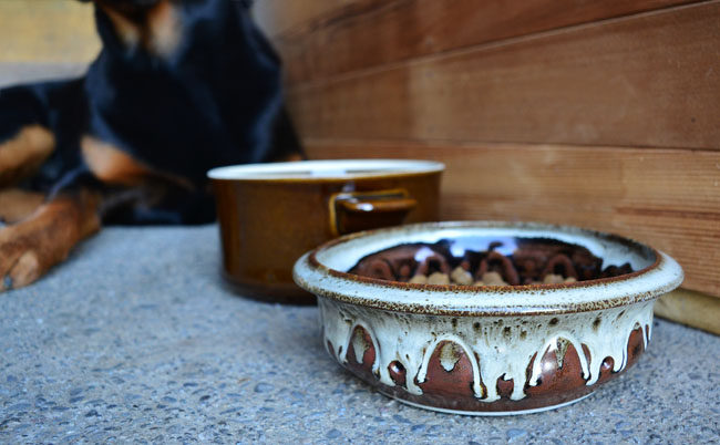 UPCYCLE DIY Pet Bowls From Old Stoneware Dishes