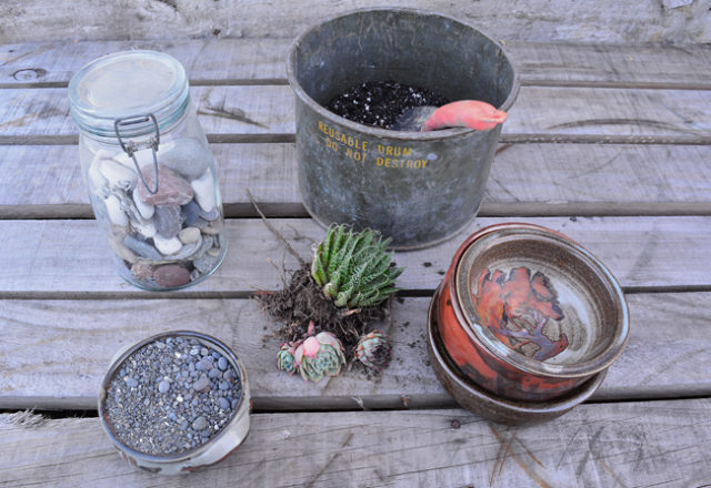 DIY PROJECT | Succulent Bowl