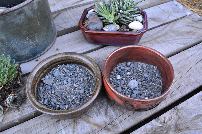 DIY PROJECT | Succulent Bowl