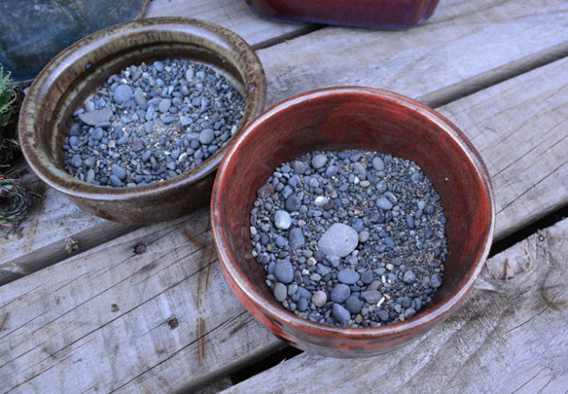 DIY PROJECT _Succulent Bowl
