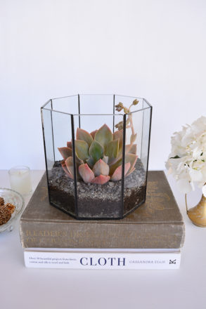 Threadbarecloak.com | How To Make a Simple Terrarium