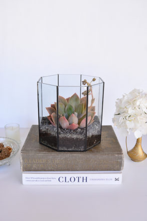 Threadbarecloak.com | How To Make a Simple Terrarium